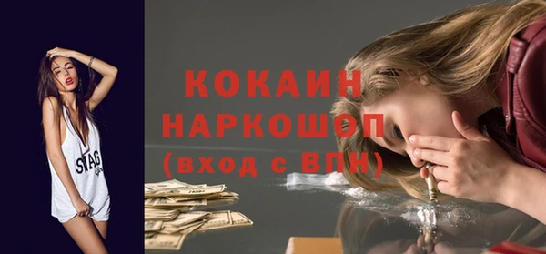 индика Алзамай