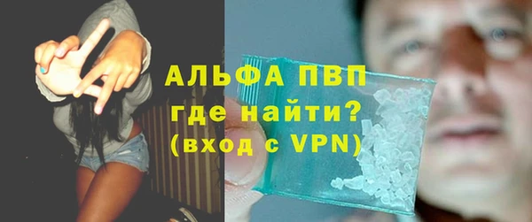 крисы Абаза