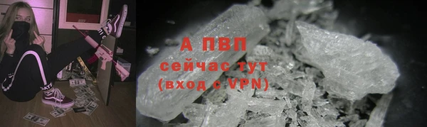 крисы Абаза