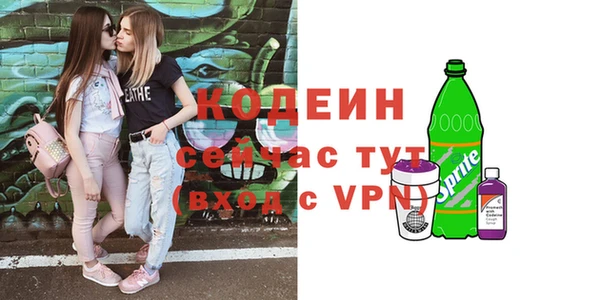 крисы Абаза