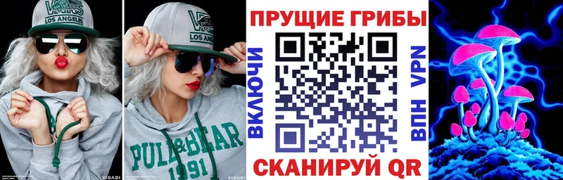 Псилоцибиновые грибы Magic Shrooms mega рабочий сайт Мостовской