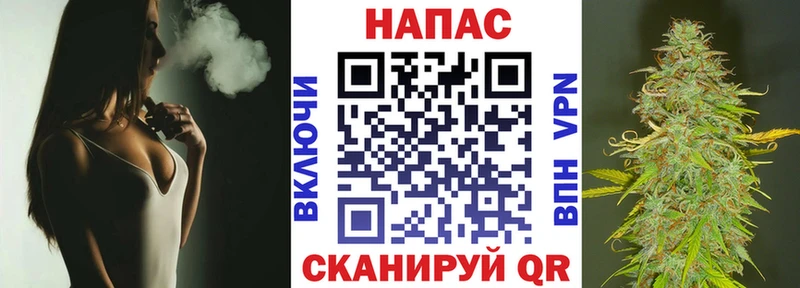 Канабис сатива Мостовской
